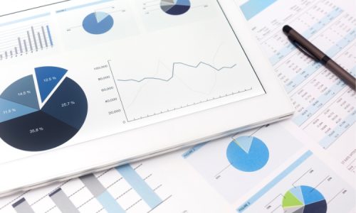 palveluverkkoselvitys